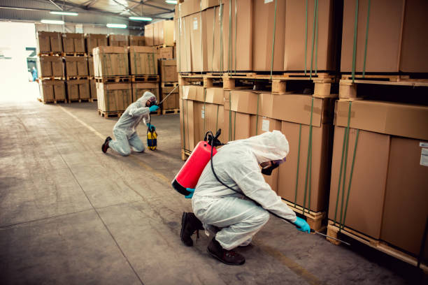 Best Flea Control Services  in Corcoran, CA