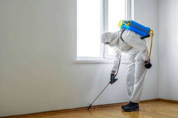 Best Insect Control  in Corcoran, CA