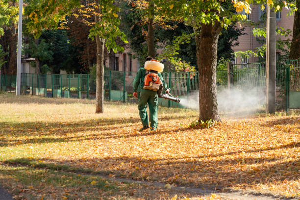 Best Wasp Removal Services  in Corcoran, CA