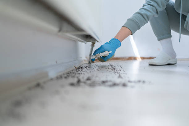 Trusted Corcoran, CA Pest Control Experts